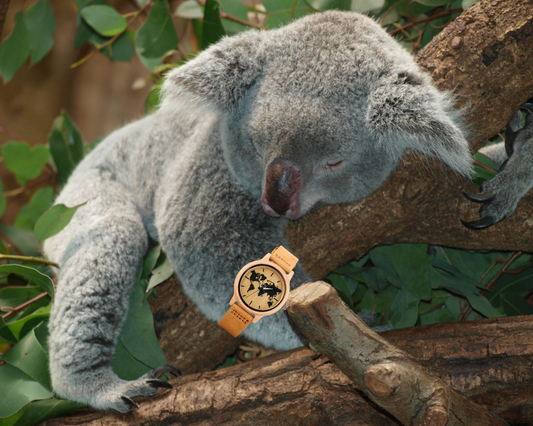 Montres : pourquoi choisir des montres en bois comme bijoux plutôt que des montres traditionnelles.